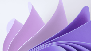 IT Asset Management Fact Sheet