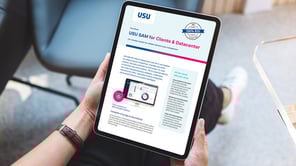 USU SAM for Clients & Datacenter