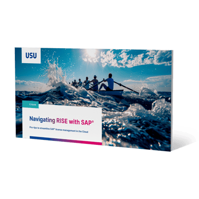 usu_sam_eb_rise-with-sap_en_cover_800x800px