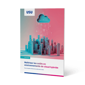 Whitepaper Image