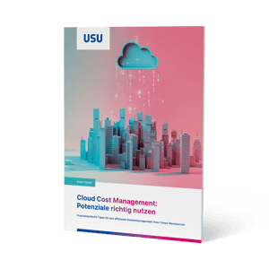 Whitepaper Image