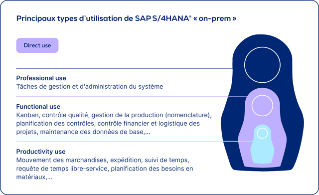 it-asset-management_rise-with-sap_FUE-et-types-d’utilisation