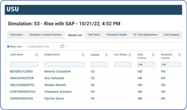 it-asset-management_rise-with-sap_Optimisation-par-l’analyse-des-rôles