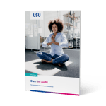 usu_sam_wp_audit-defense_en_cover_800x800