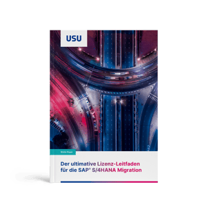 Whitepaper Image