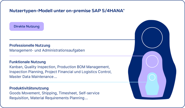 usu_itam_rise-with-sap_sap-4hana-on-prem-nutzertypen_de