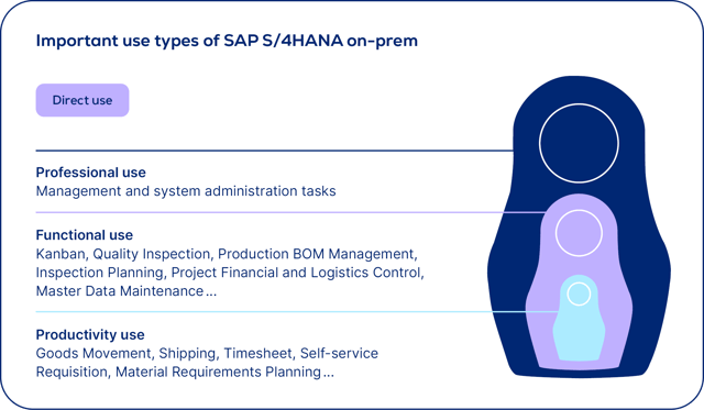 usu_itam_rise-with-sap_types-sap-4hana-on-prem_en