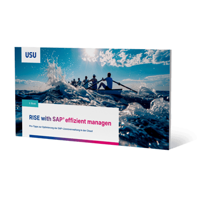 usu_sam_eb_rise-with-sap_de_cover_800x800px