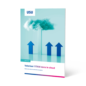 Whitepaper Image