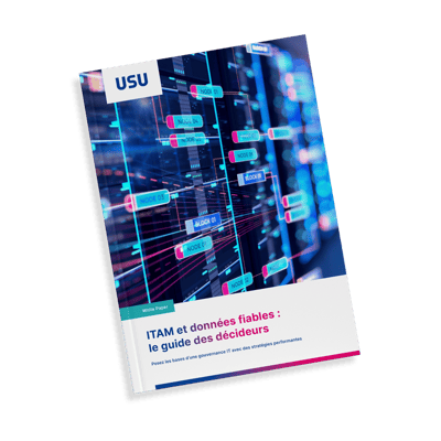 usu_wp_itam-review-data_fr_cover_800x800px