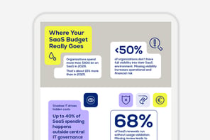 Infografic: Where Your SaaS Budget Really Goes