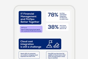 The Hidden Costs of Poor Software License Management