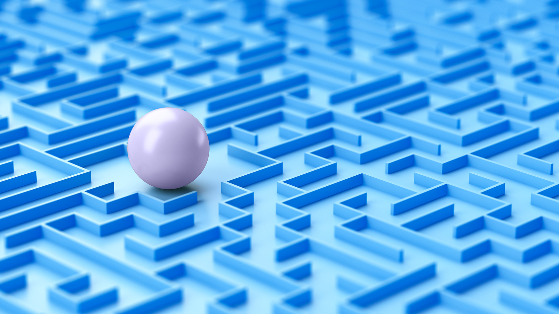 Survival Tactics for Software Audits