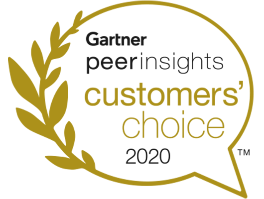 Gartner Peers Insights 2020