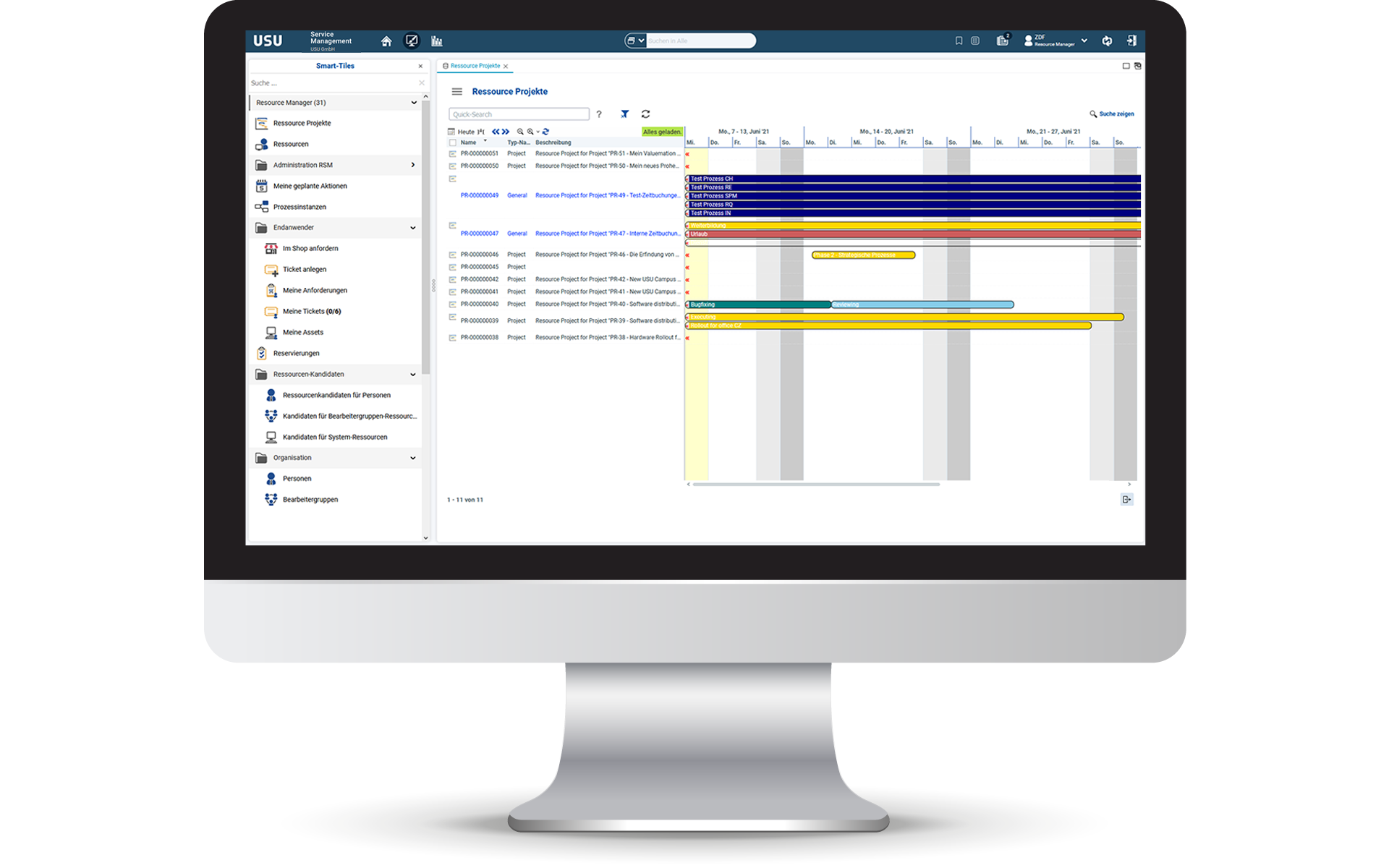 IT Project Portfolio Manager - Resource Management