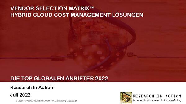 Störer HCM cost
