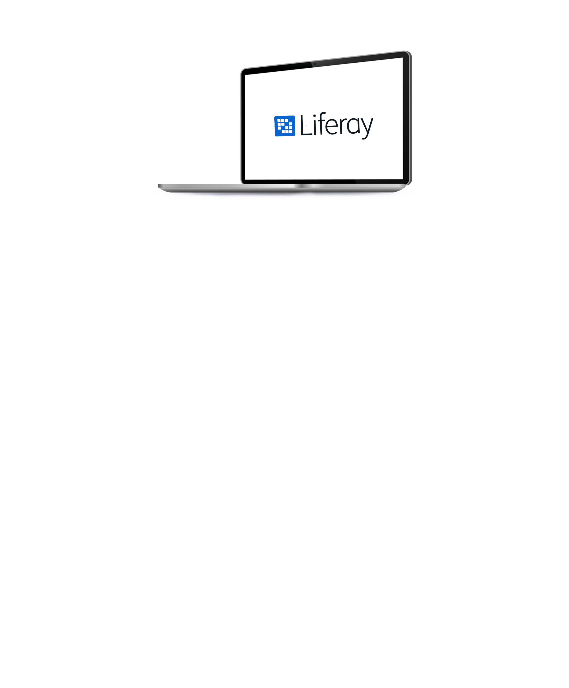 USU Digital Consulting - Liferay