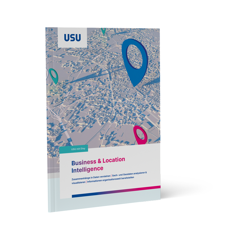 USUxDisy Business and Location Intelligence