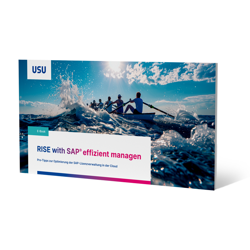 SAP Lizenzmanagement