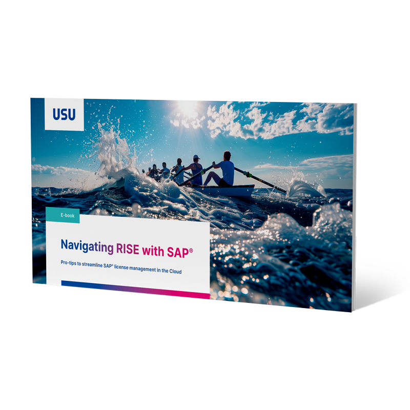 SAP License Management