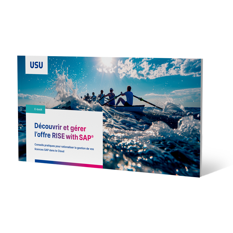 Gestion des licences SAP
